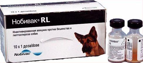 Вакцина для собак Набивак RL, Intervet - фото 1 - id-p180980268