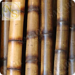 Бамбукові стовбури