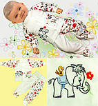 Комплект Міша р. 26 06.31, фото 4