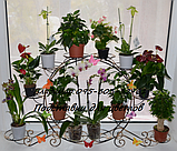 Підставка для квітів на 12 чаш, "Колесо", фото 8