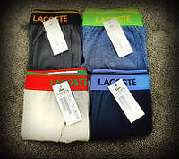 Мужские трусы LACOSTE размер XL