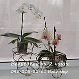 Велосипед-2, підставка для квітів на 2 чаші, фото 4