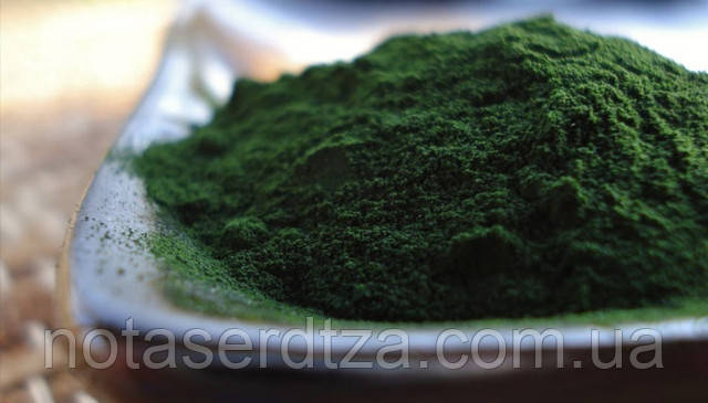 Хлорелла источник здоровья Хлорелла для укрепления здоровья