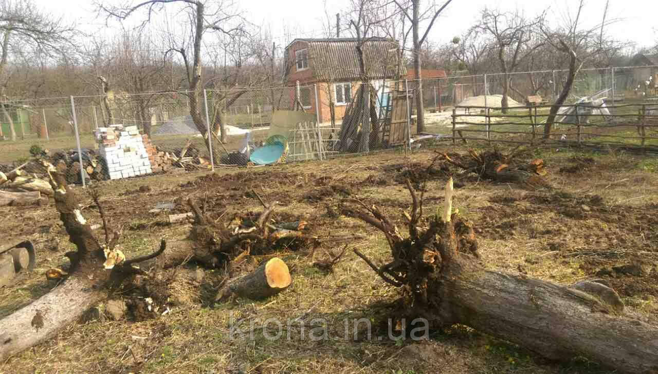 Спил дерев, корчування пнів