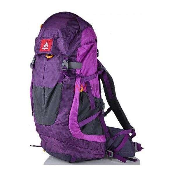 Туристичний рюкзак 45 л Onepolar Liger 1638 Фіолетовий