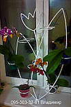 Підставка для квітів на 14 кілець для орхідей "Тюльпан", фото 3