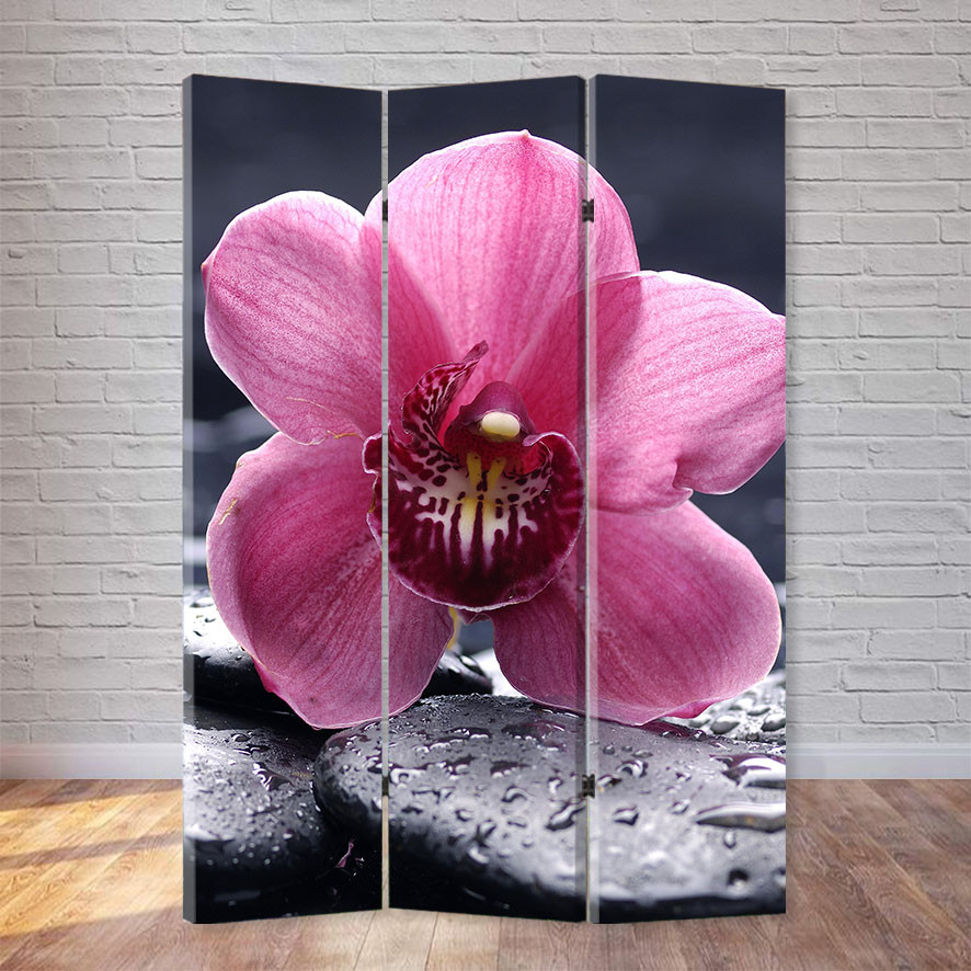 Ширма "Орхідея"