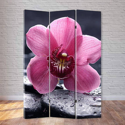 Ширма "Орхідея", фото 1
