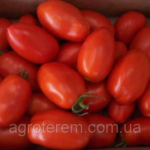 Семена томата Рио Гранде F1 (Rio Grande F1) 0,5кг - фото 2 - id-p35449117