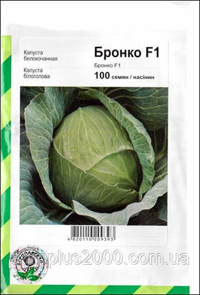 Насіння Капуста білокачанна середня Бронко F1, 100 насінин Bejo Zaden, фото 1