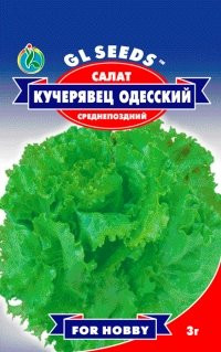 Салат Кучерявець Одеський