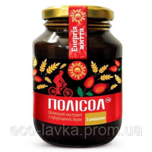 Полісол із шипшиною