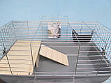 Клітка для кролика та свинок із будиночком, фото 2