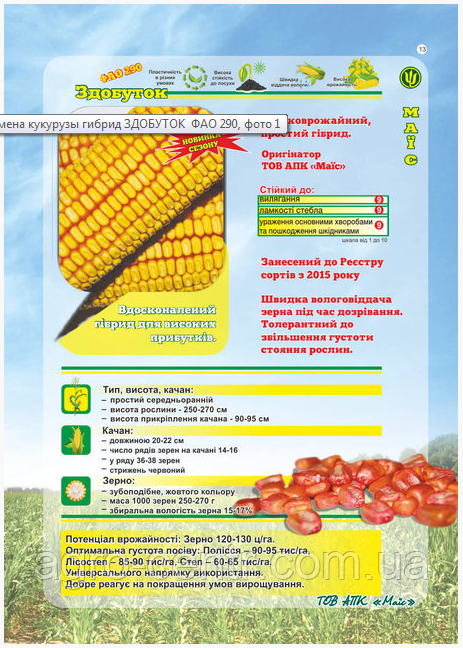 Насіння кукурудзи Будівечок ФАО 290 (Чоркаси)