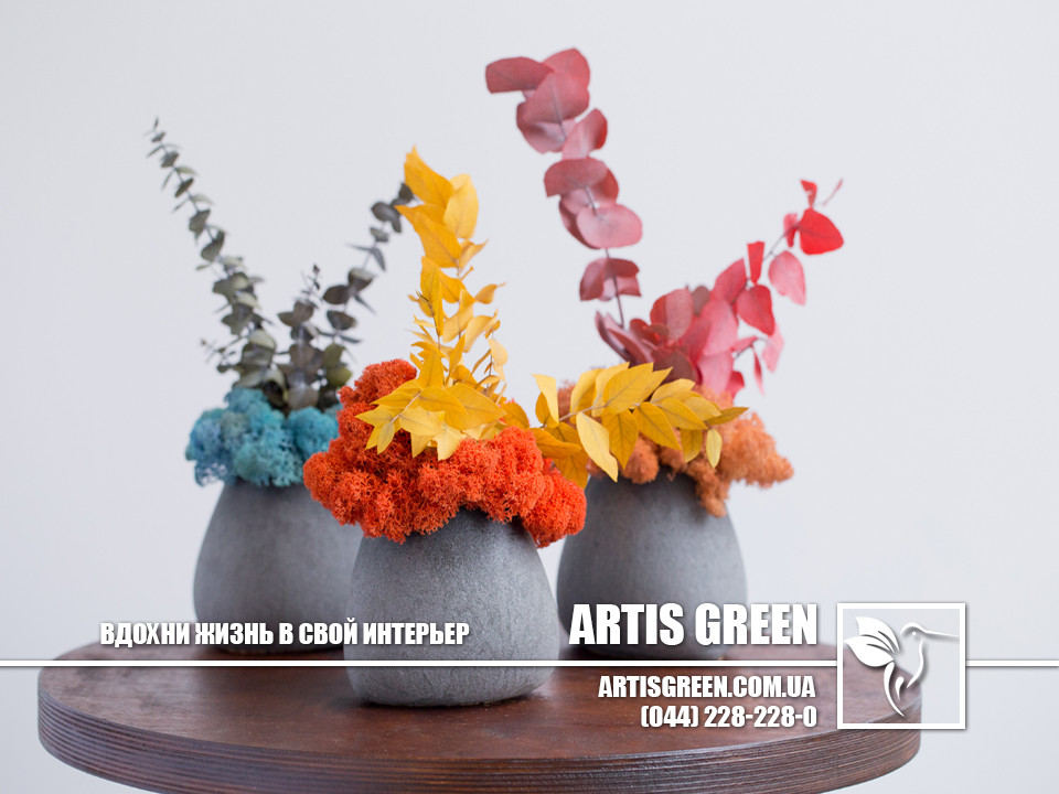Композиція зі стабілізованим мохом "Eucalyptus" від компанії "Artis Green", S17