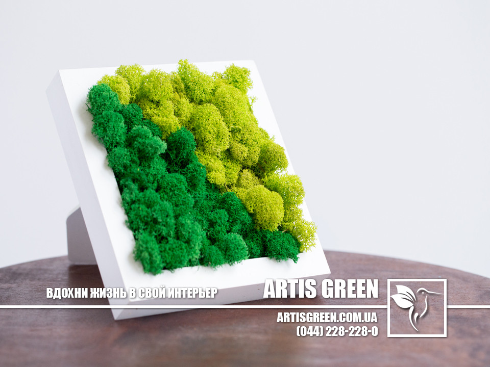 Настольна рамка зі стабілізованим мохом "Grain Nature" від "Artis Green", S19, фото 1