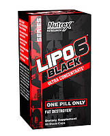 Lipo-6 Black Ultra-Concentrate 60 caps