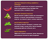 Hondrocream крем від болю в суглобах і спині (Хондрокрем), фото 9