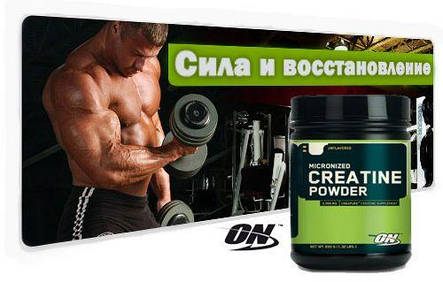 Креатин Моногідрат Optimum Nutrition Micronized Creatine Powder 600 г США, фото 3