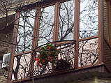Французький балкон.Оскленість., фото 10