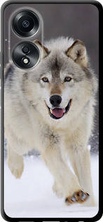 Чехол на Oppo A58 4G Бегущий Волк "826b-3184-43756"