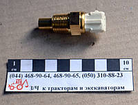 Датчик температуры воды н.о. ДУТЖ-02М (2 кон.)