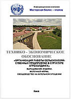 Бизнес-план (ТЭО). Создание агрохолдинга. Выращивание индейки. Молочная ферма. Овощеводство капельное орошение