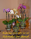 Настільна-5, підставка для міні-орхідей і кактусів, фото 2
