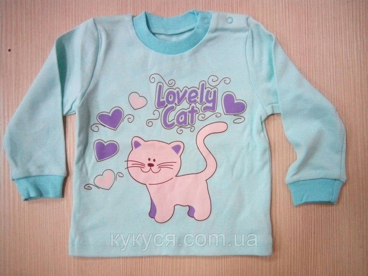 Реглан для дівчинки "Кошеня"