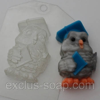 Мудра сова, фото 1