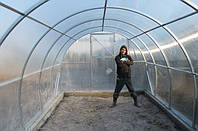 Теплиця в березні