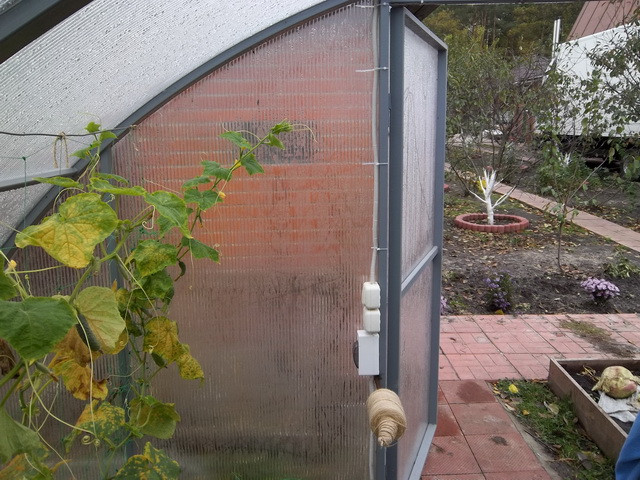 всередині теплиці