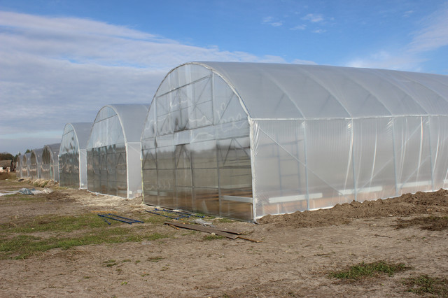 фермер теплиці