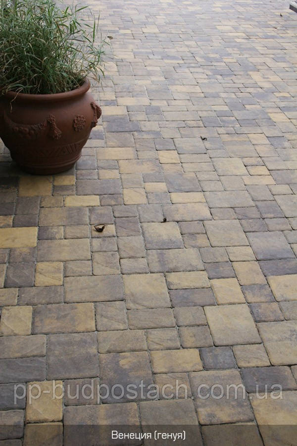 Ціна в Києві Золотий Мандарин тротуарна плитка Венеція і генуя купити, продаж від виробника, вартість Ціна в Києві Золотий Мандарин тротуарна плитка Венеція і генуя купити, продаж від виробника, вартість