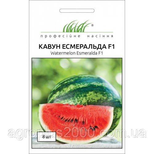 Насіння Арбус надраній Есмеральда F1, 8 насіння United Genetics