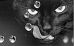 Автонаклейка на скло авто 130 см