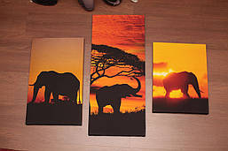 Слони Африка. 90х70 см. Модульна картина.