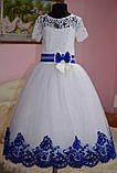 Ошатне бальне плаття для дівчинки "Оксамит", фото 6