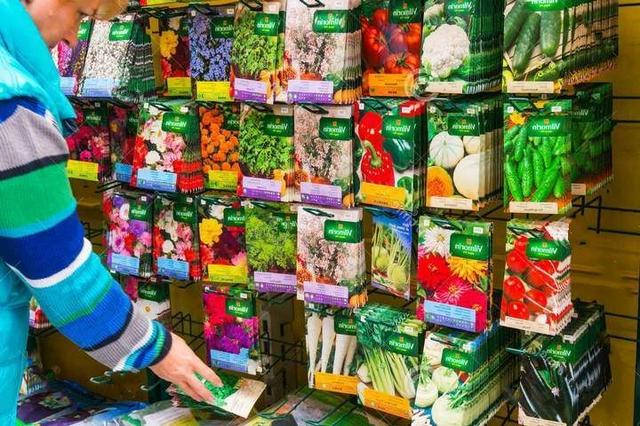Можна садити прострочені насіння