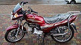 Мотоцикл VENTUS VS50QT-8 110 см3, фото 7
