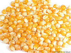 Зерна кукурудзи для попкорну 1 кг