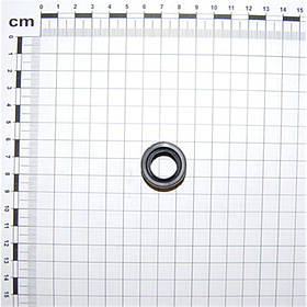 G66248219 Втулка (пильник) пластик Gaspardo