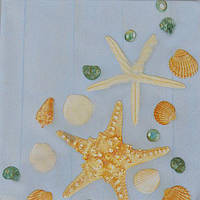 Серветки паперові з малюнком Морська зірка Польща 33*33 см