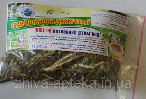 Шандра запашна (котовник запашний) (трава) 50г