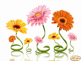 Вишивка бісером "Квіткові спіральки" 24х33