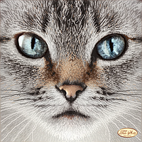 Вишивка бісером "Міст (Mist)" 30х31