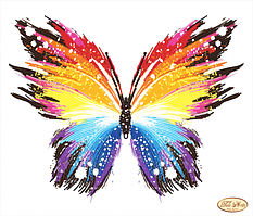 Вишивка бісером "Метелик" 30х36