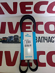 Поліклинові ремінь