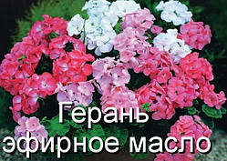 Герань-ефірна олія (їд.нат.) (Німеччина) — 10 мл