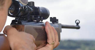 Пневматичні гвинтівки